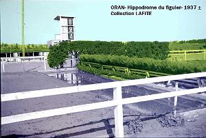 Oran- Le figuier 25a